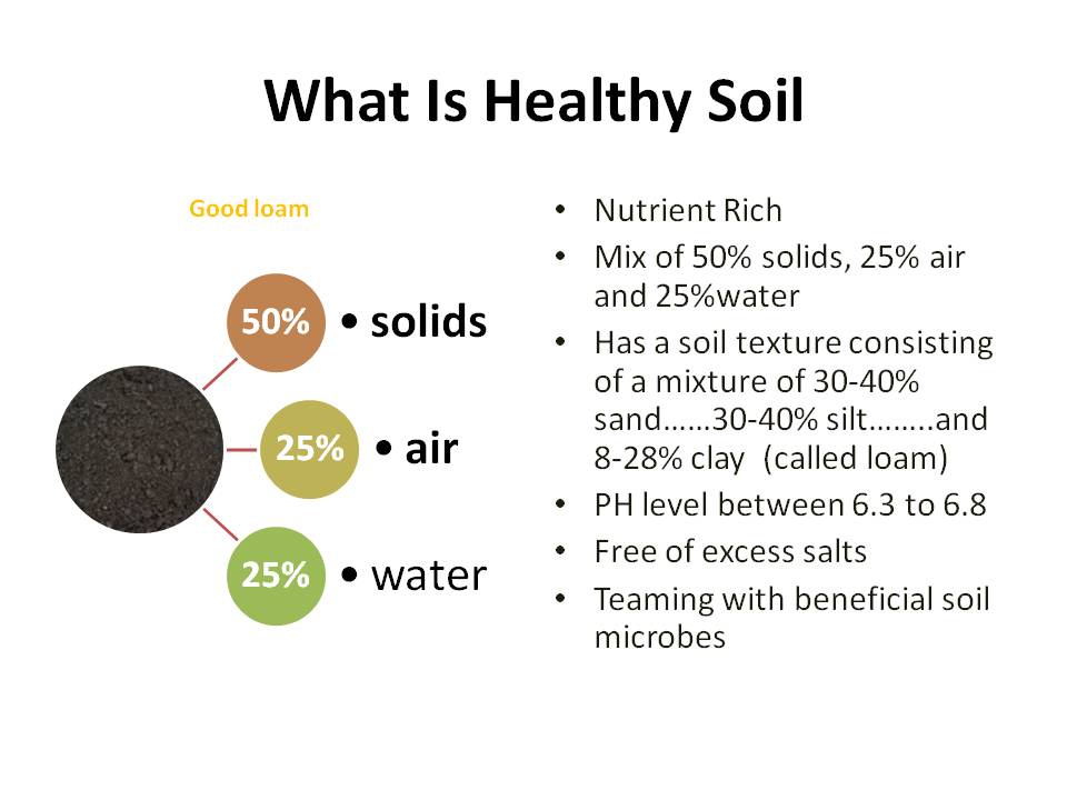 White Swan Properties Blogspot HEALTHY SOIL