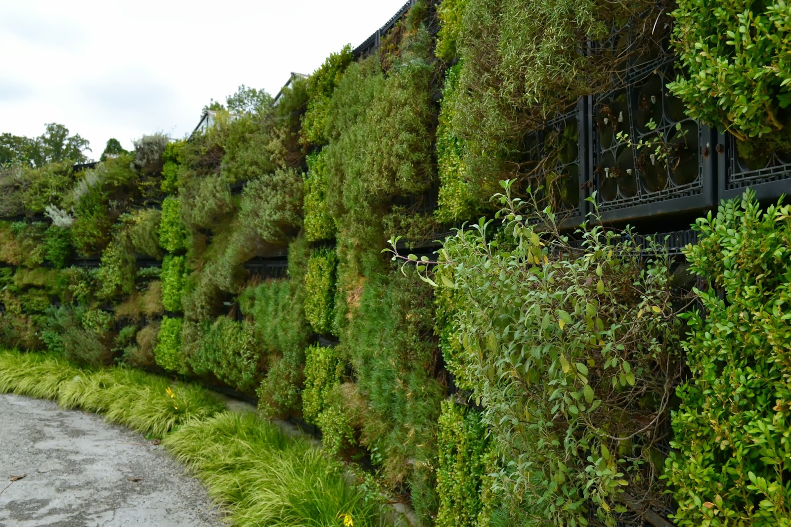 Atlanta Botanical Garden Garden Delights