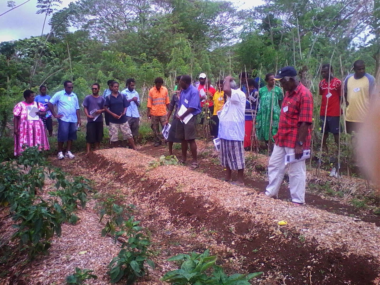 Climate Change Impacts Agriculture in Vanuatu Vanuatu Rainfal Network