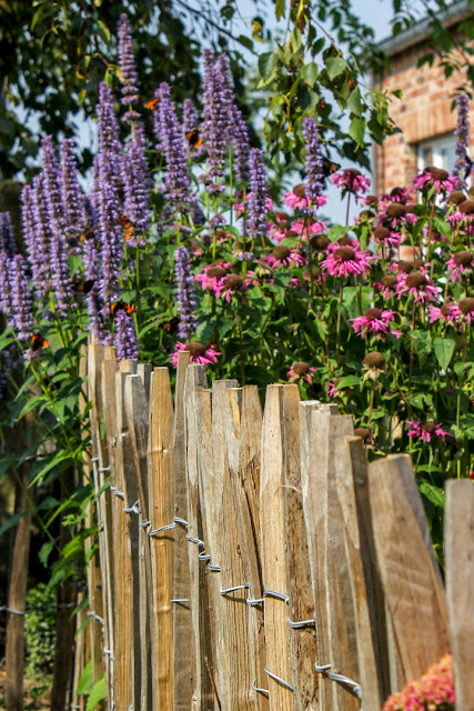 Heimgemacht: Kräutergarten-Pflanzpläne