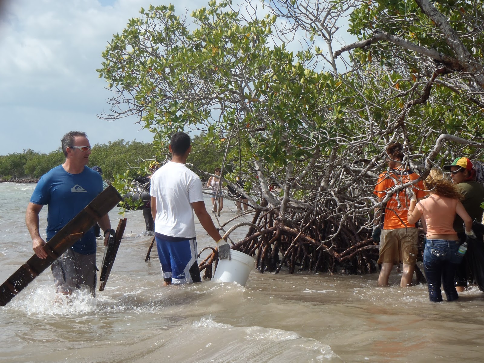 Everglades Volunteer Program International Coastal