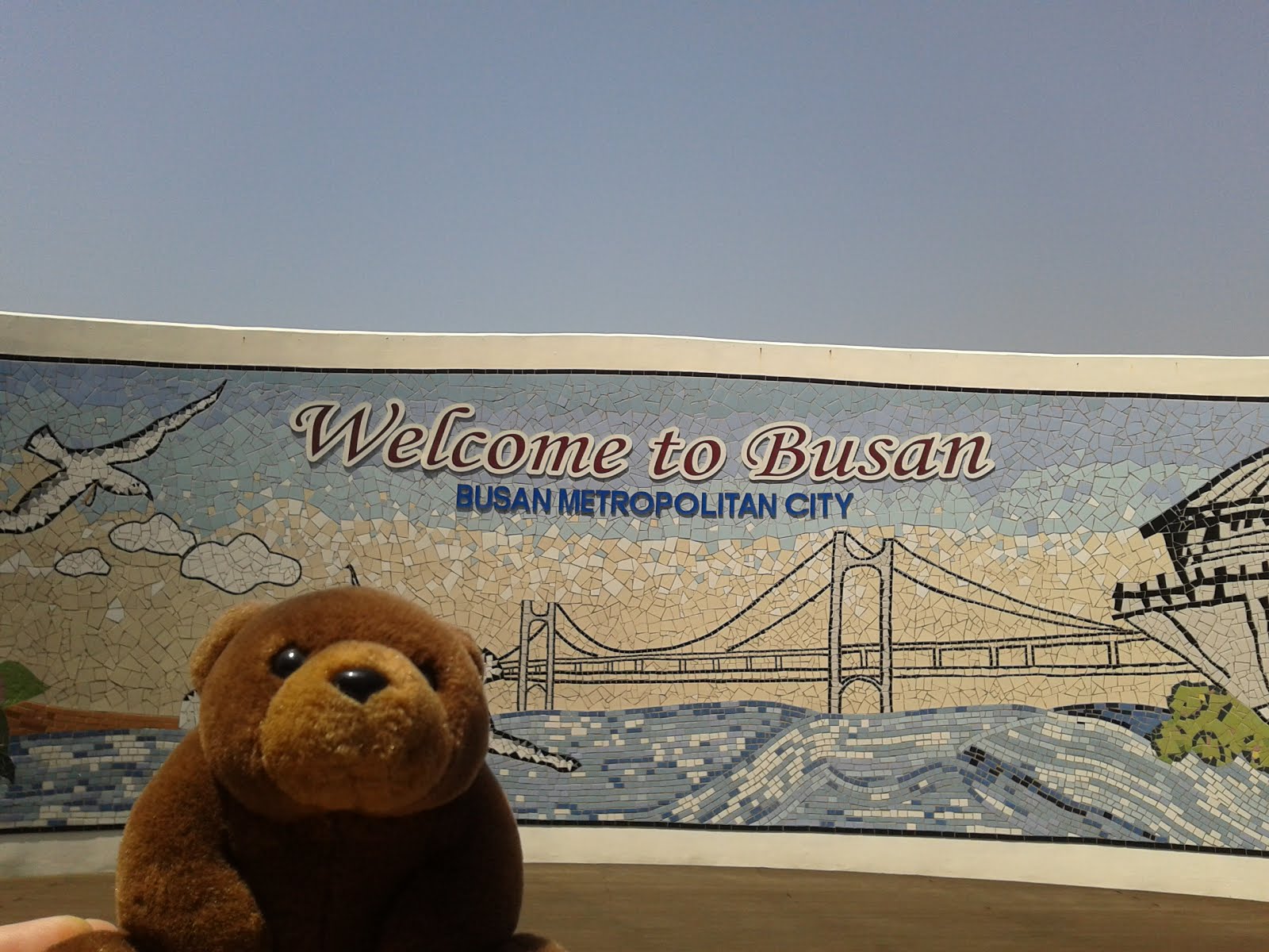 Teddy in Busan, South Korea
