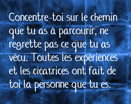 Tiger Crossing, "trop intelligent pour être malheureux ou les tribulations d'un ancien zèbre devenu Tigre"  - Page 12 A+chemin