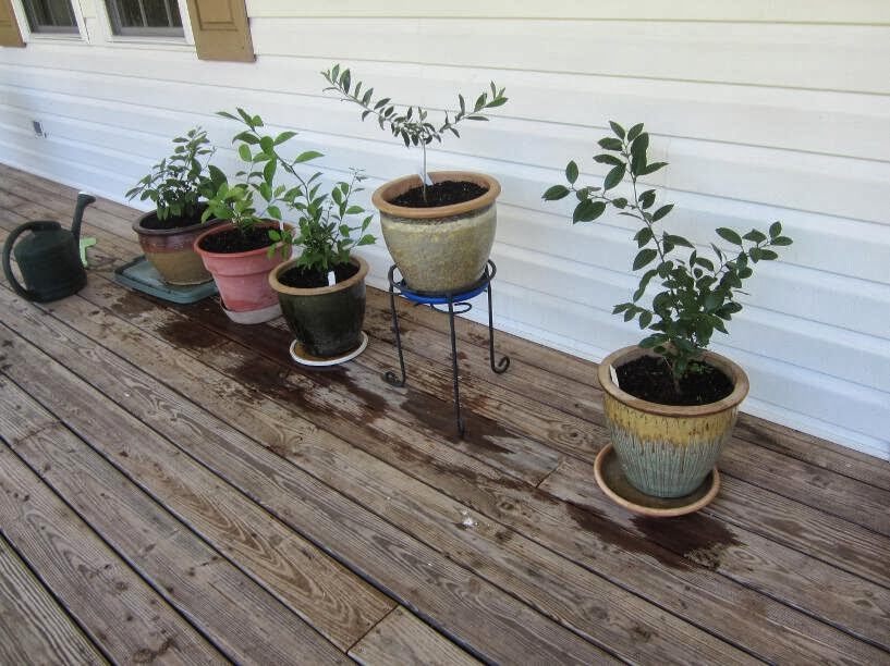 Simply Resourceful: October 2013