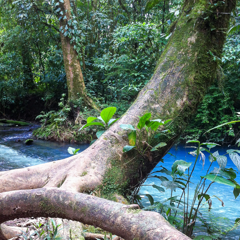 Rio Celeste, Costa Rica Rio Celeste, Costa Rica