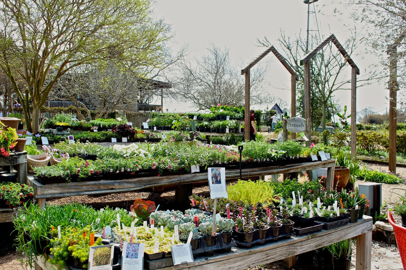 Sharing Nature's Garden Antique Rose Emporium in Brenham filled with