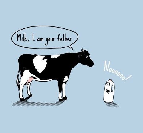 milk.jpg