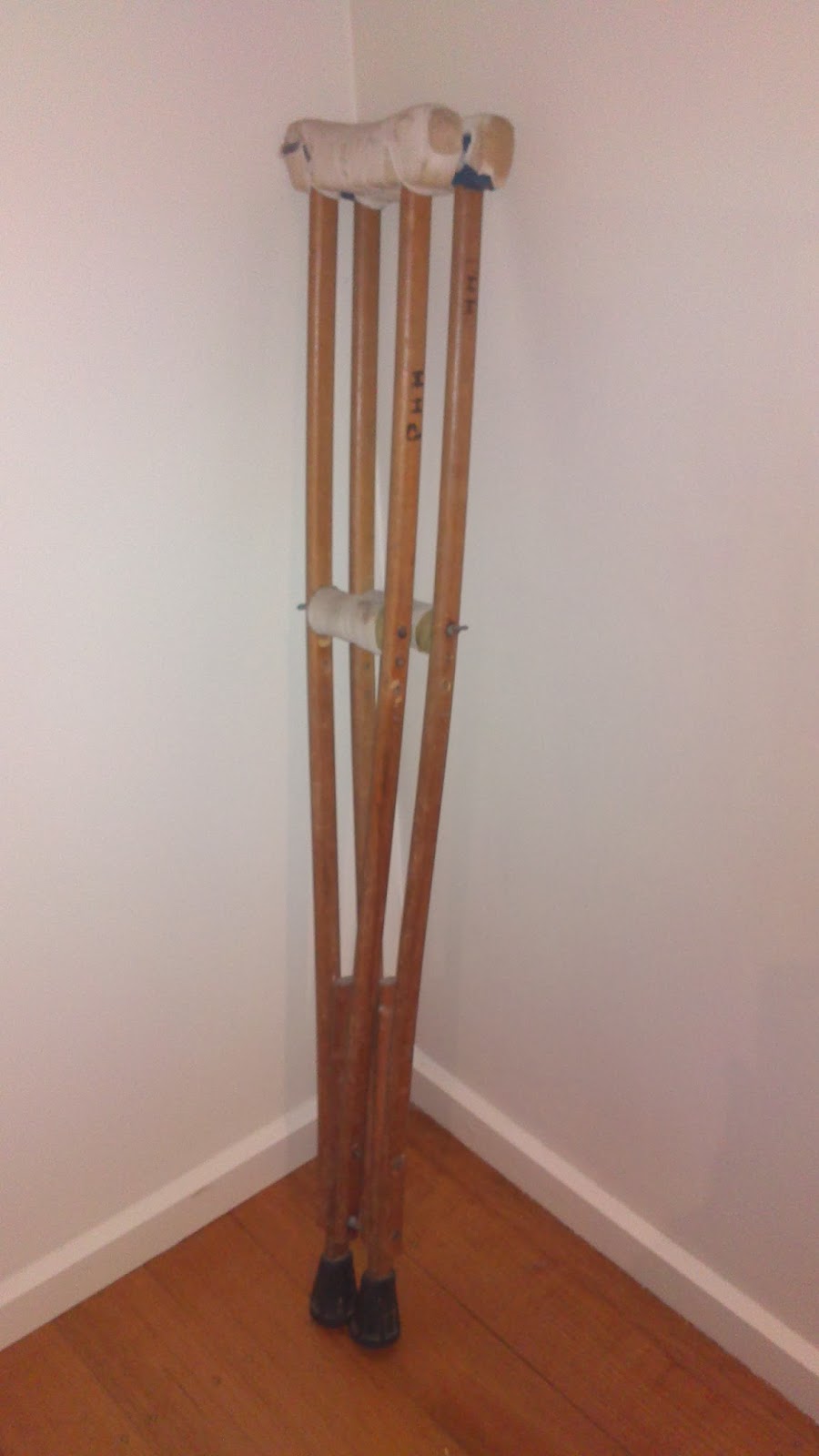 scuze i how did crabs first come to Australia?