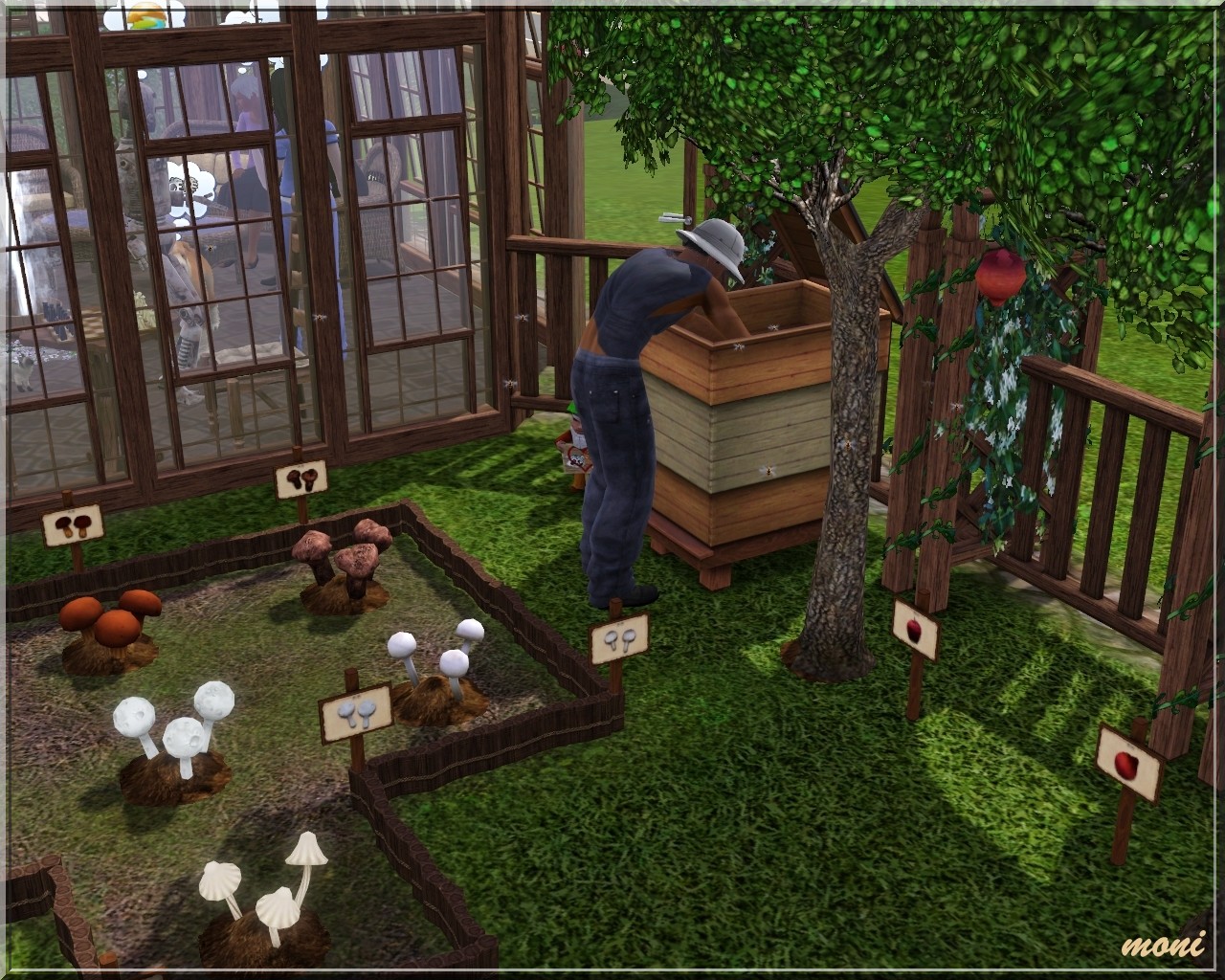 Arda Sims: Small Garden Small Garden - Arda Sims: Small Garden
