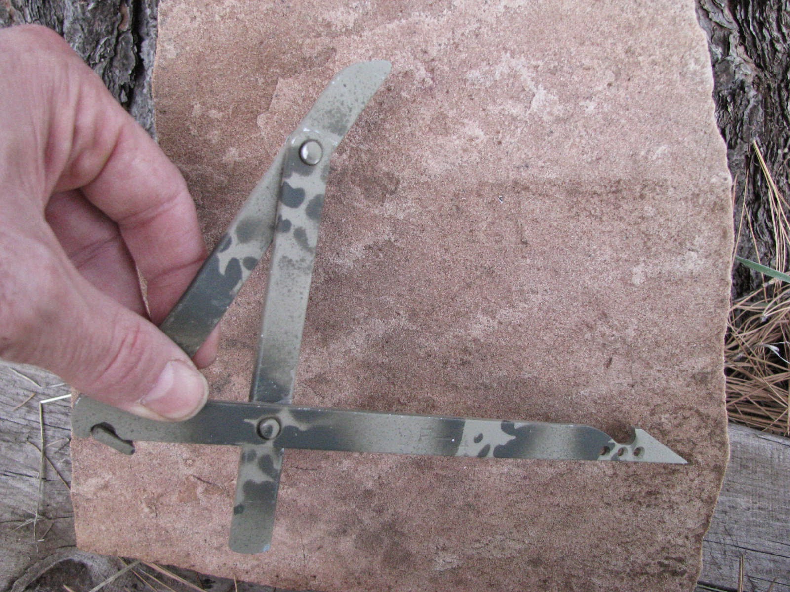 survival skills, survival schools, bushcraft courses, DF-4 deadfalls, bushcraft books, foraging