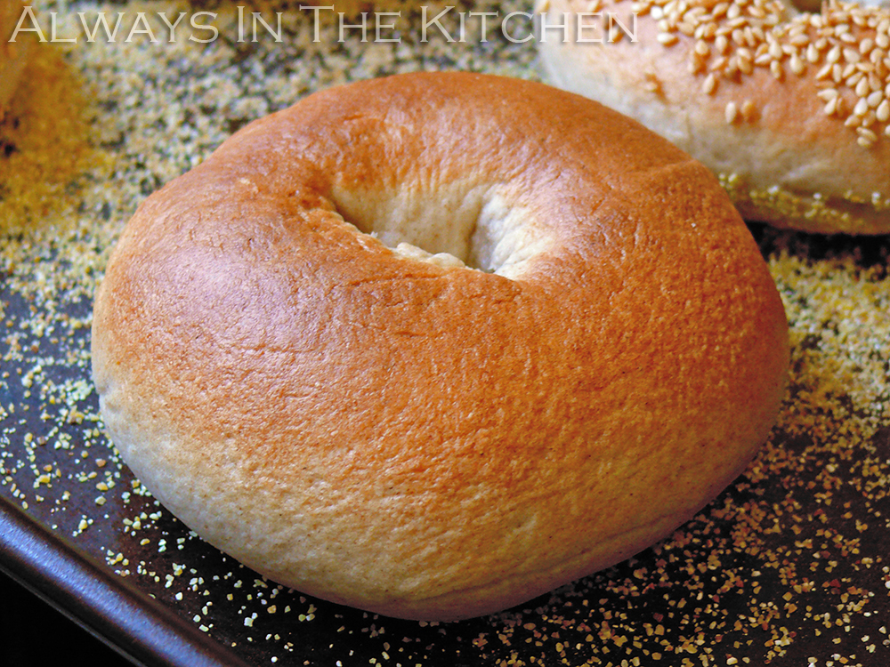 Dawna in the Kitchen Lye Water Bagels
