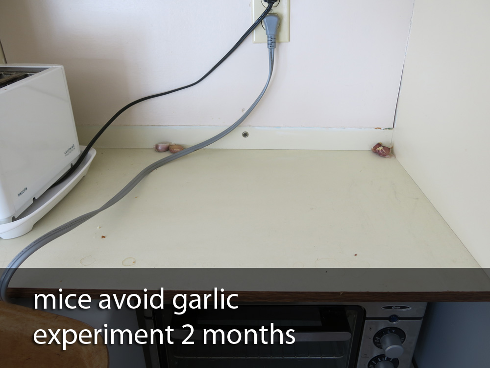 do mice avoid garlic?