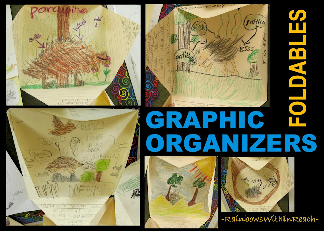 Graphic Organizer/Foldable Reports (via RainbowsWithinReach Foldable RoundUP) photo: Graphic Organizer/Foldable Reports (via RainbowsWithinReach Foldable RoundUP)