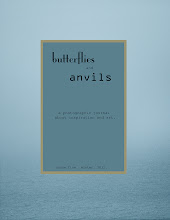 butterflies and anvils. WINTER ISSUE!