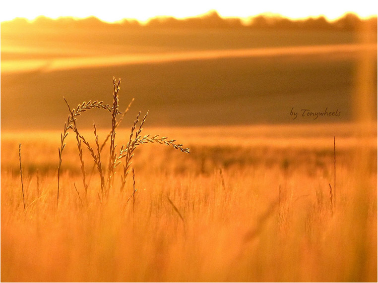 Compact Camera, Best Photo of the Day in Emphoka by Tonywheels, Panasonic Lumix FZ150, https://flic.kr/p/nURPF6 Compact Camera, Best Photo of the Day in Emphoka by Tonywheels, Panasonic Lumix FZ150, https://flic.kr/p/nURPF6