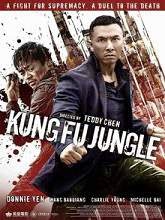http://onlinecinemaguru.blogspot.com/2014/12/watch-online-full-kung-fu-jungle2014.html