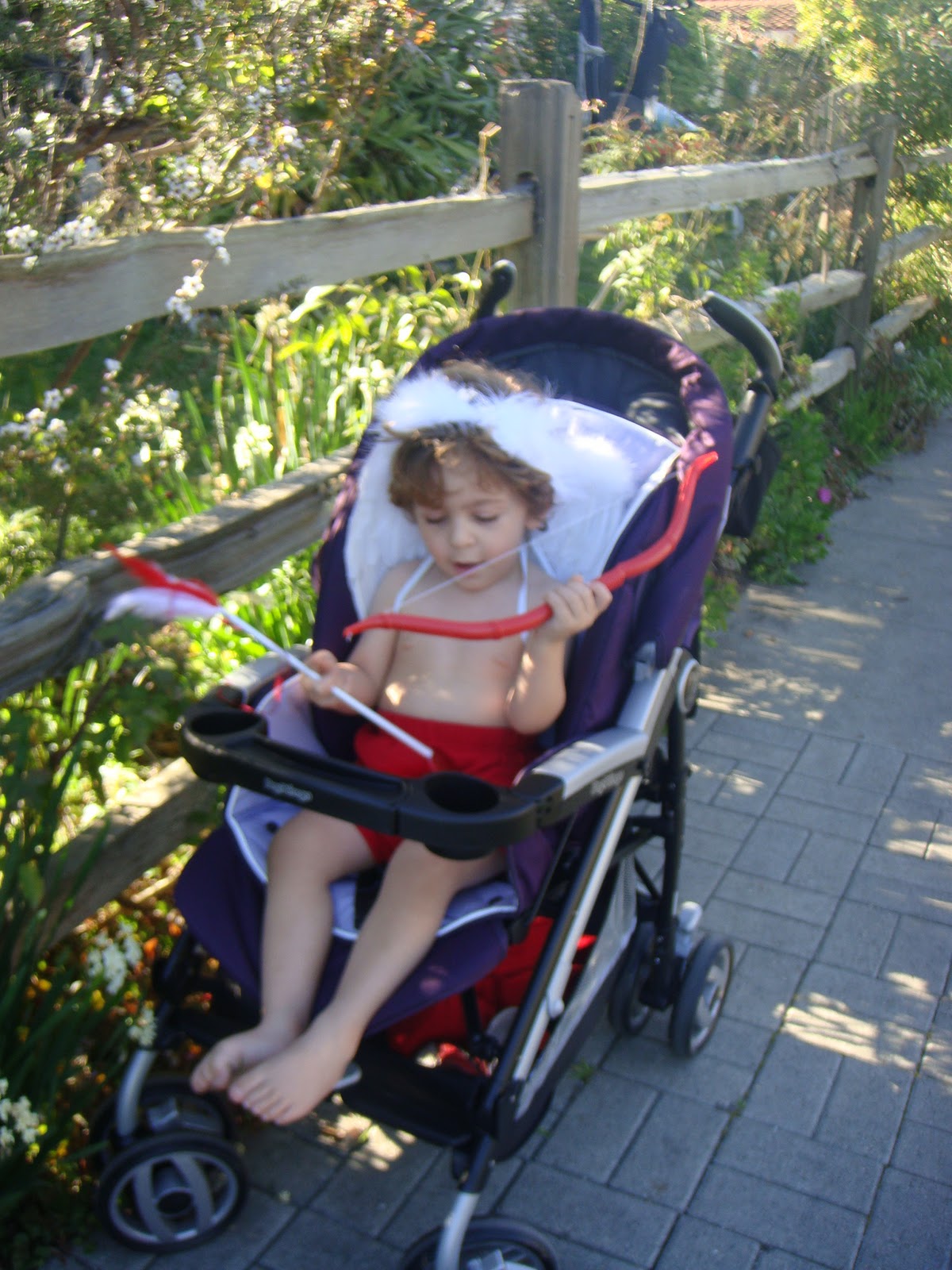 review stroller pliko compact