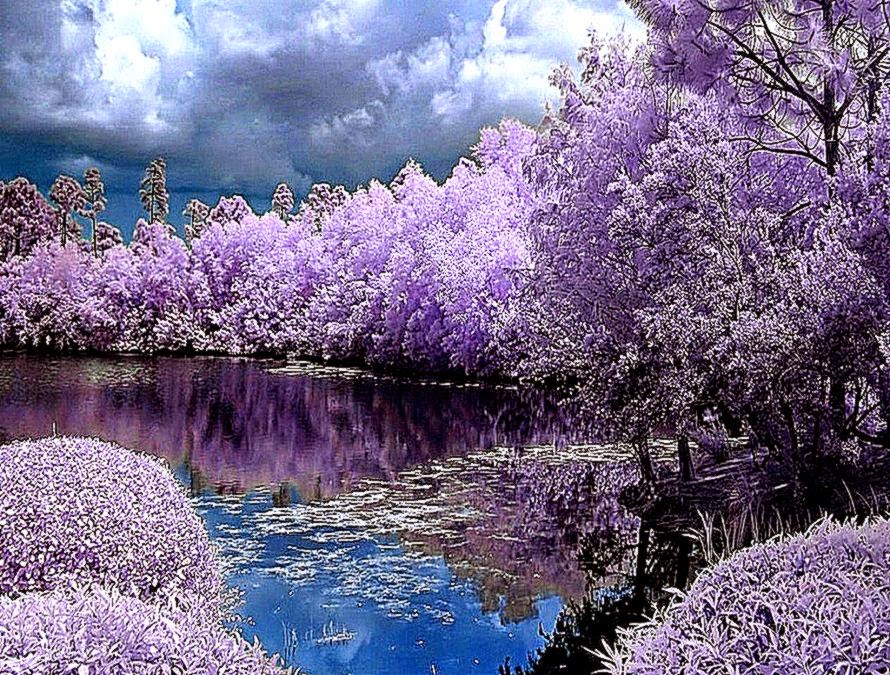 Cute Spring Wallpaper Beautiful View Backgrounds Free Download Cute Spring Wallpaper Beautiful View Backgrounds Free Download