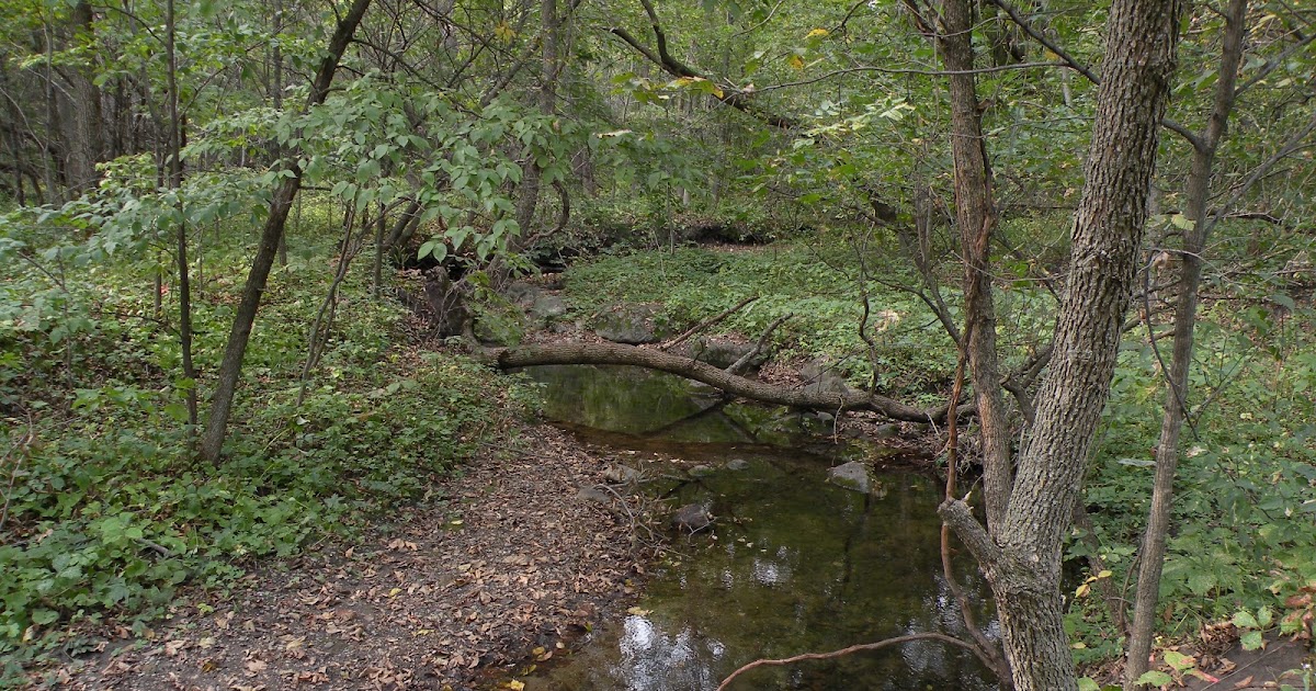 J.J. Anderson SICA HOLLOW, SOUTH DAKOTA