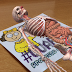El cuerpo humano en Realidad Aumentada con Arloon Anatomy