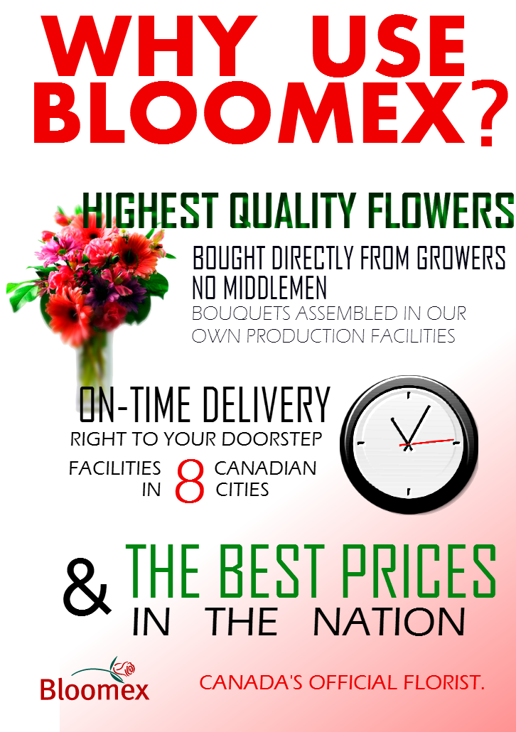 Bloomex The Official Blog of Bloomex.ca Great Reasons to Use Bloomex