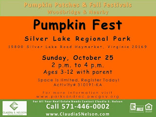 Pumpkin Patches near Woodbridge Virginia 2015, Pumpkin Fest Owl Craft Project at Silver Lake Regional Park VA