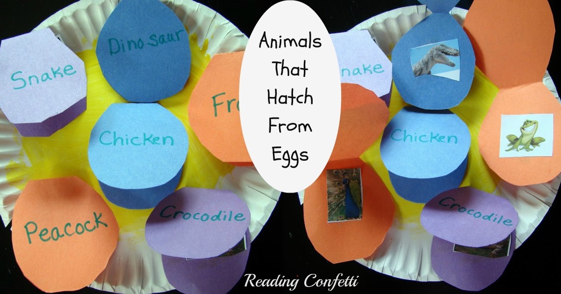 Animals That Hatch From Eggs Project ~ Reading Confetti