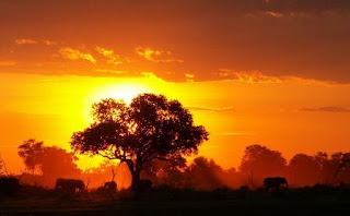 Beautiful Sunrise Beautiful Sunrise