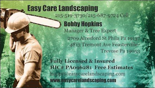 Easy Care Landscaping's own tree service expert Bobby Hopkins