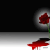 Box Para HTML (Textarea) com Sangue - Exclusivo