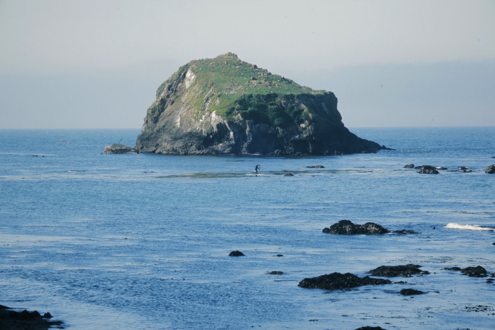 Kayak Mendocino, About Professionally guided Ocean kayak tours on the