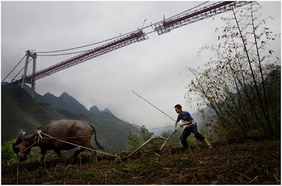 Admiring The Dragon Nation..