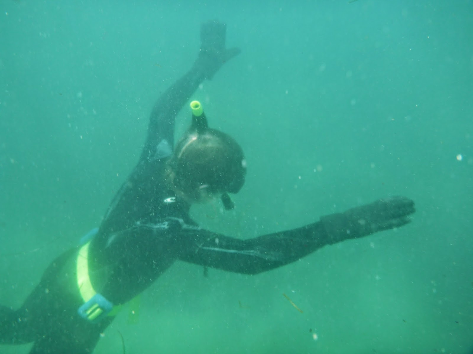 Happy Trails Snorkeling at Laguna Beach