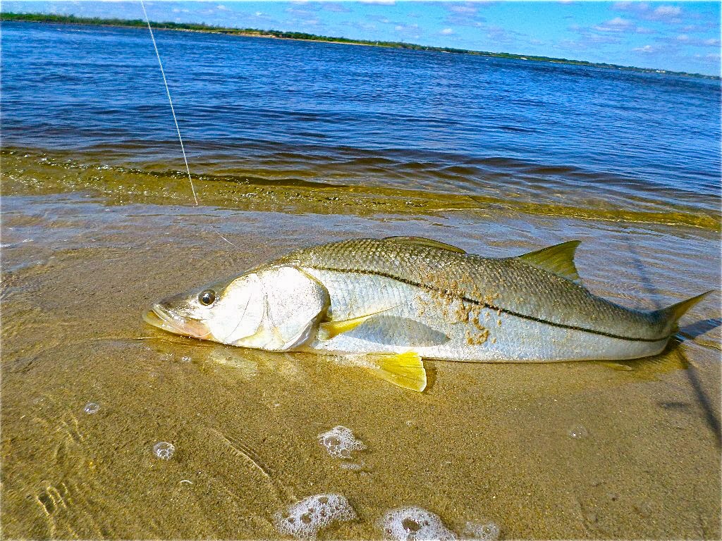 On Foot Angler From Henry SnookNook Jensen Beach