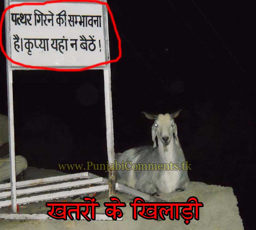FACEBOOK VERY FUNNY NEW 2012 PHOTOS IMAGES PICTURES FUN COOL ANIMAL
