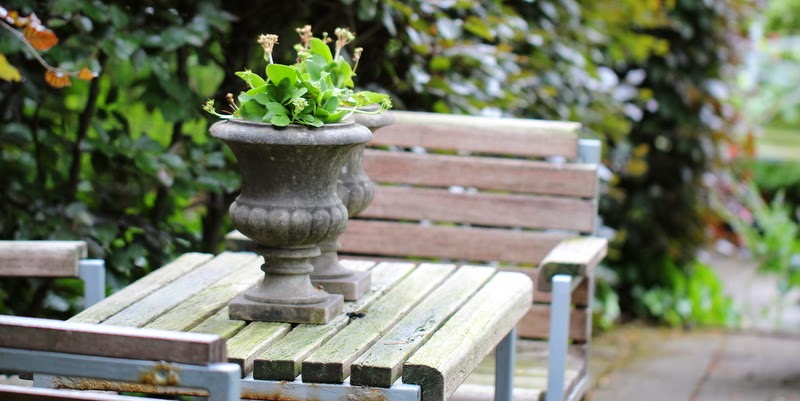 Haven i Hune, terrassen ved huset Haven i Hune, terrassen ved huset
