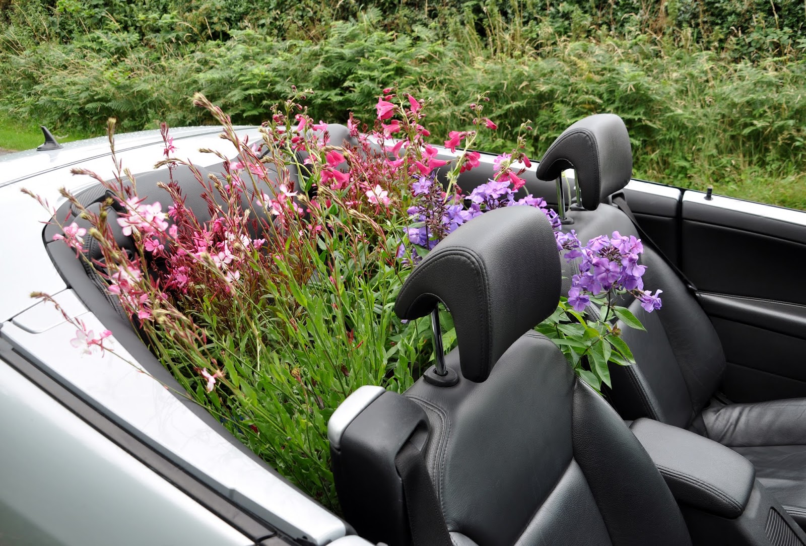 rambles with a camera A pretty expensive Flower Pot