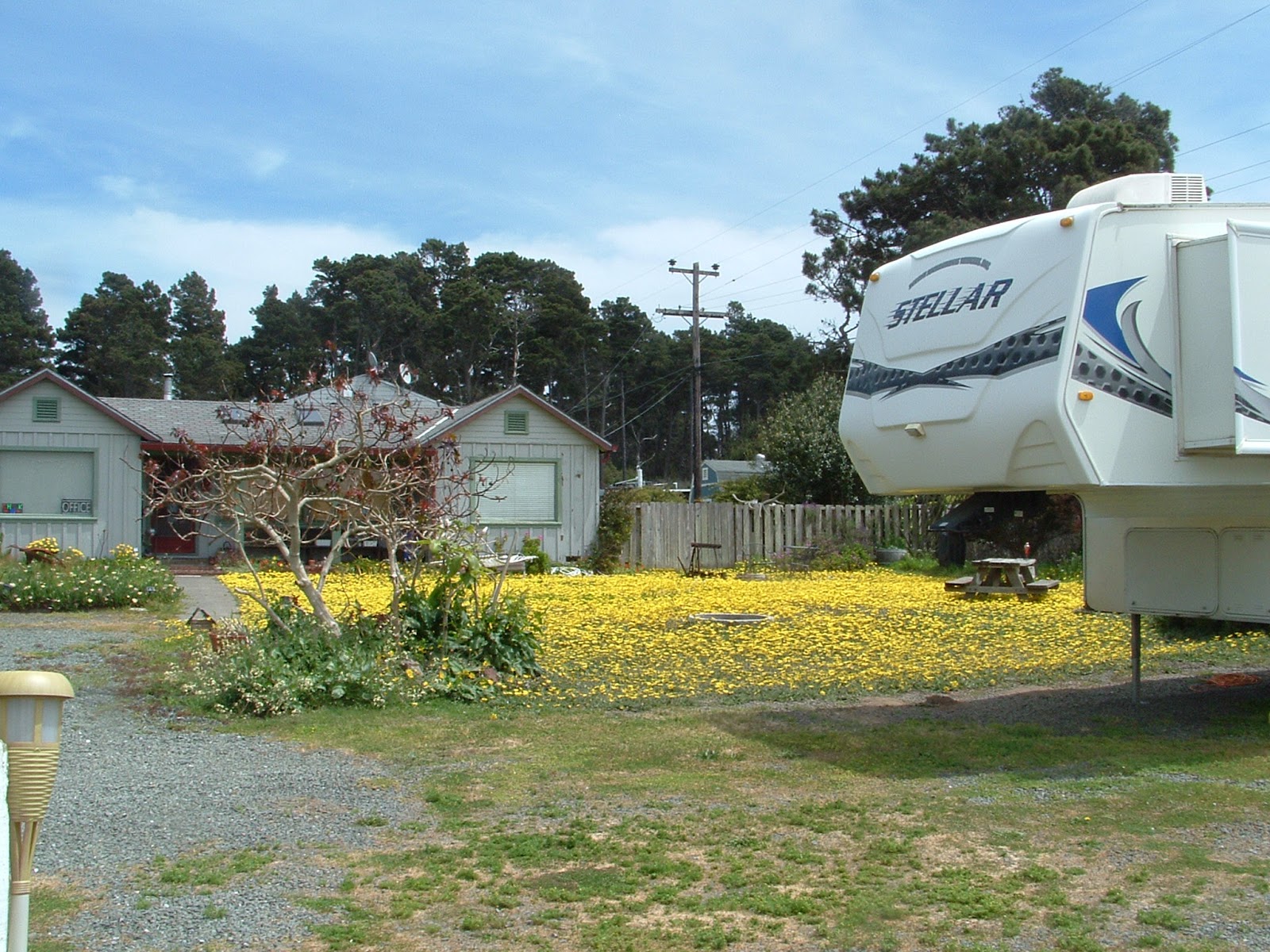 Hidden Pines RV Park Campground Fort Bragg California Fort Bragg May Flowers Salmon