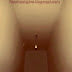 Double Meaning Wall and Ceiling Pic