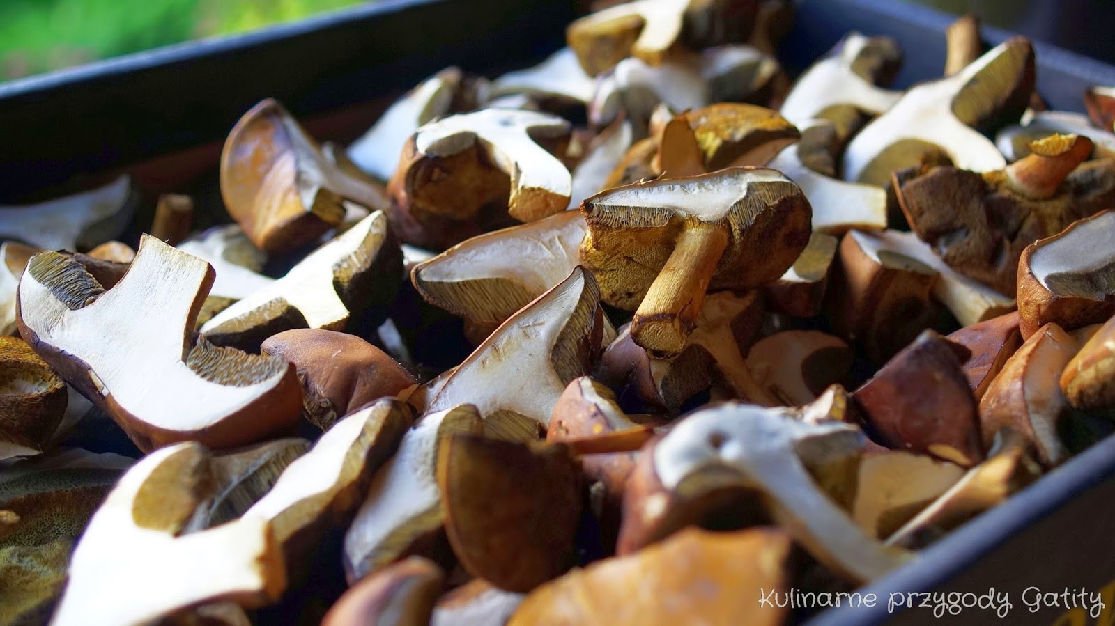 Suszone grzyby Kulinarne przygody Gatity przepisy pełne smaku