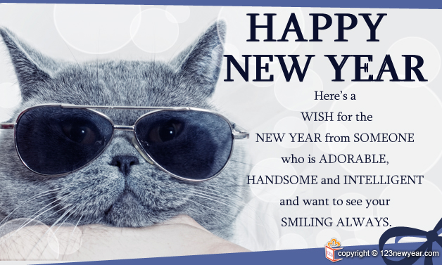 Happy New Year 2014 Funny Wishes Greeting Cards Happy New Year 2014 Funny Wishes Greeting Cards