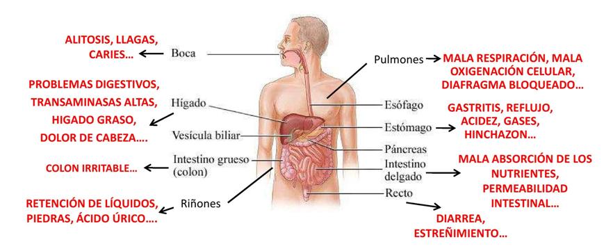 Que curar la eccema al niño en el pie