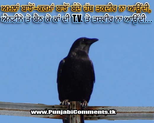 NEW FUNNY PUNJABI STATUS QUOTES COMMENTS COMMENT COOL FUNNY PUNJABI PHOTOS