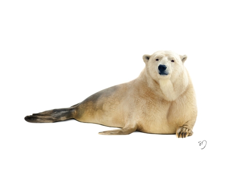 05-Polar-Bear-Seal-Sarah-DeRemer-You-Are-what-You-Eat-Photo-Manipulation-www-designstack-co