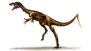 palaeos