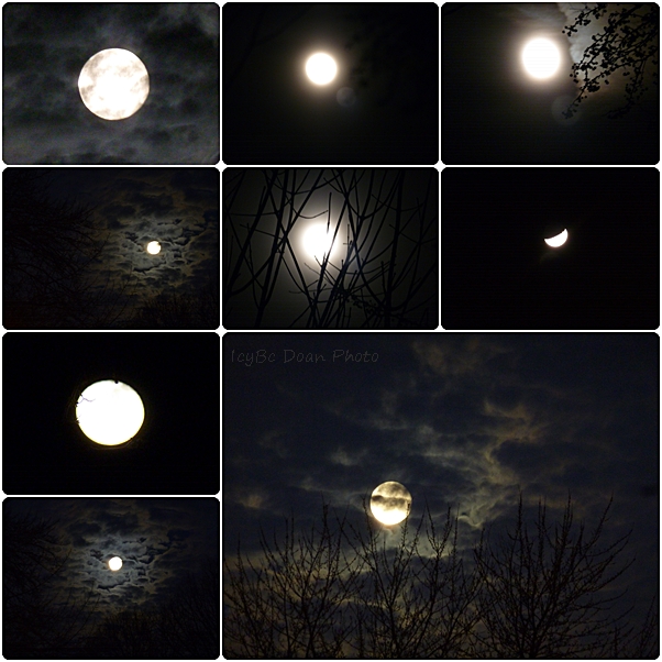 Shooting the Moon At Night Beyond Wandering