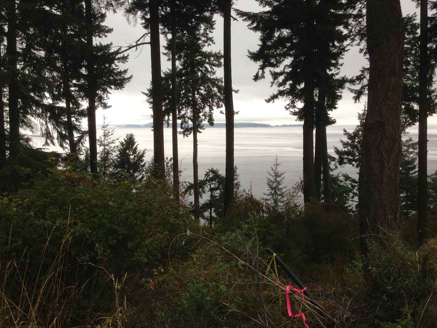 Neiman Taber Architects Orcas Island Cabin