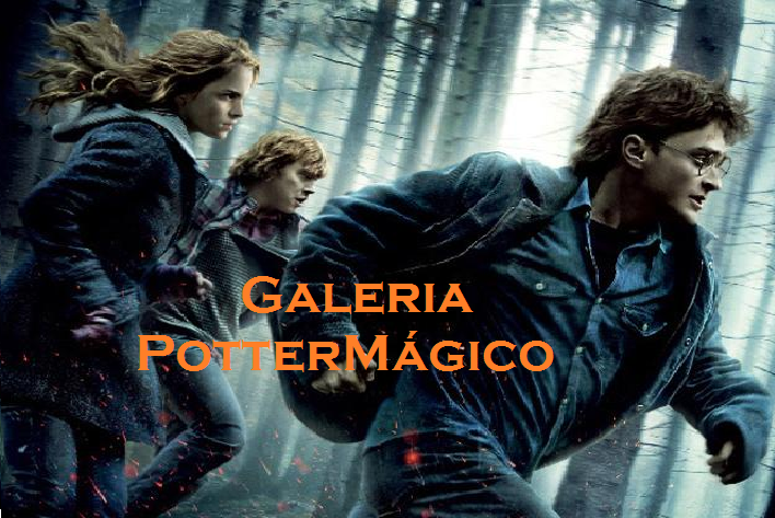 Galeria Potter Mágico