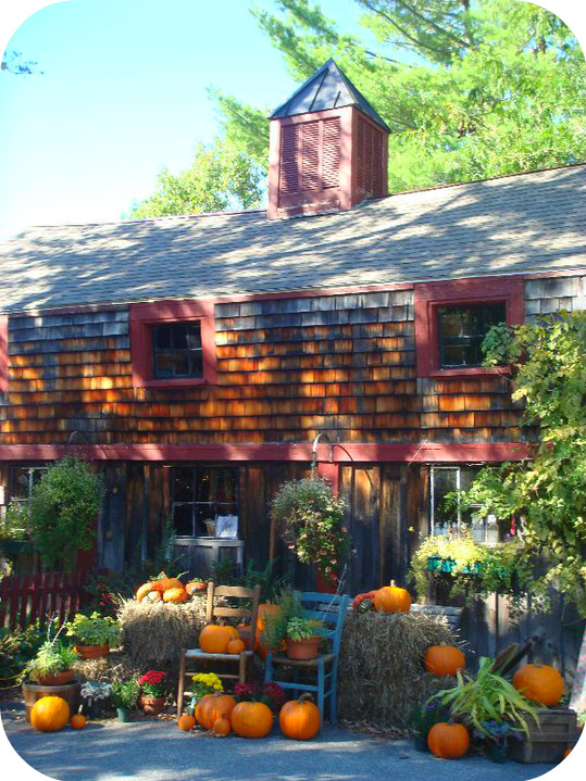 Pickity Place, Mason NH Memories of an October Passed The Cafe Cat