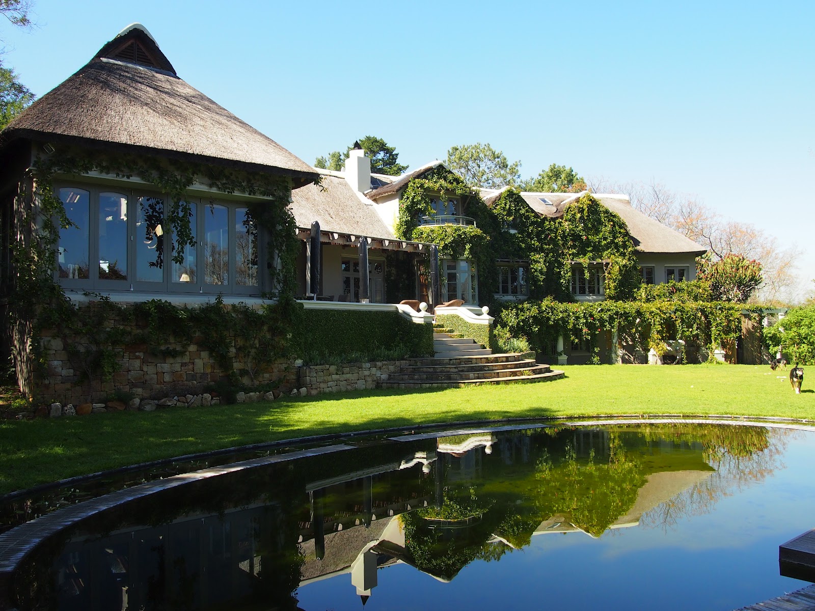 the lime walk Visiting a beautiful home in Constantia